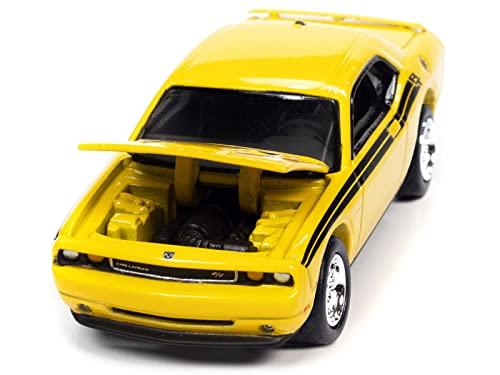 Johnny Lightning 1/64 Scale Dodge Challenger 2010 In Detonator Yellow JLSP147 [Parallel Import]