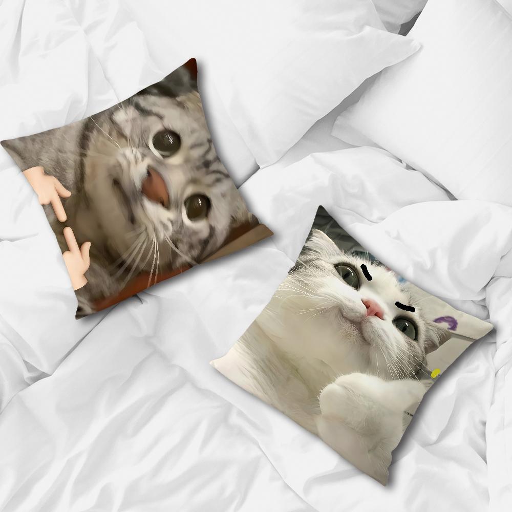 Cute Funny Cat Meme Abstract Kitten Cushion Cover Soft Pillow Case for Sofa Living Room Home Office Decor Protective Covers