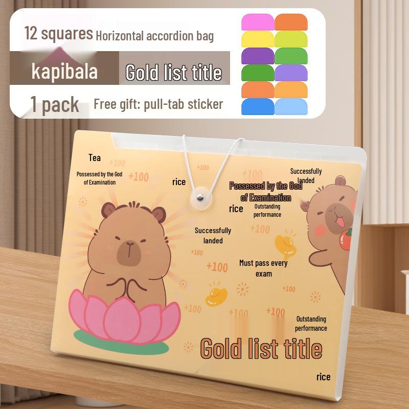 A4 Accordion Multi-layer Folder: Large Capacity Test Paper Bag for Primary Students
