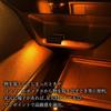 Rise Japan Car USB Type-A Illumination Hand Light Footlight Custom