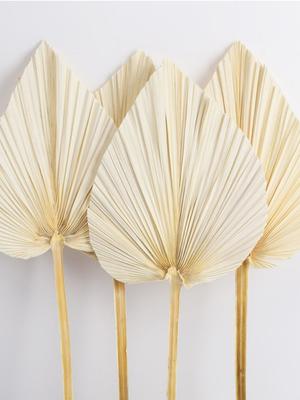 2pcs Dried Bouquet Heart Round Shape Palm Fans Natural Dried Palm Leaves Fan for Wedding Home Party Kitchen Vase Table Arrangements Anniversary Decor