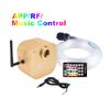 CAR 16W Twinkle RGBW Fiber Optic Light Bluetooth Remote Music Control Star Ceiling 300pcs 2M Cable