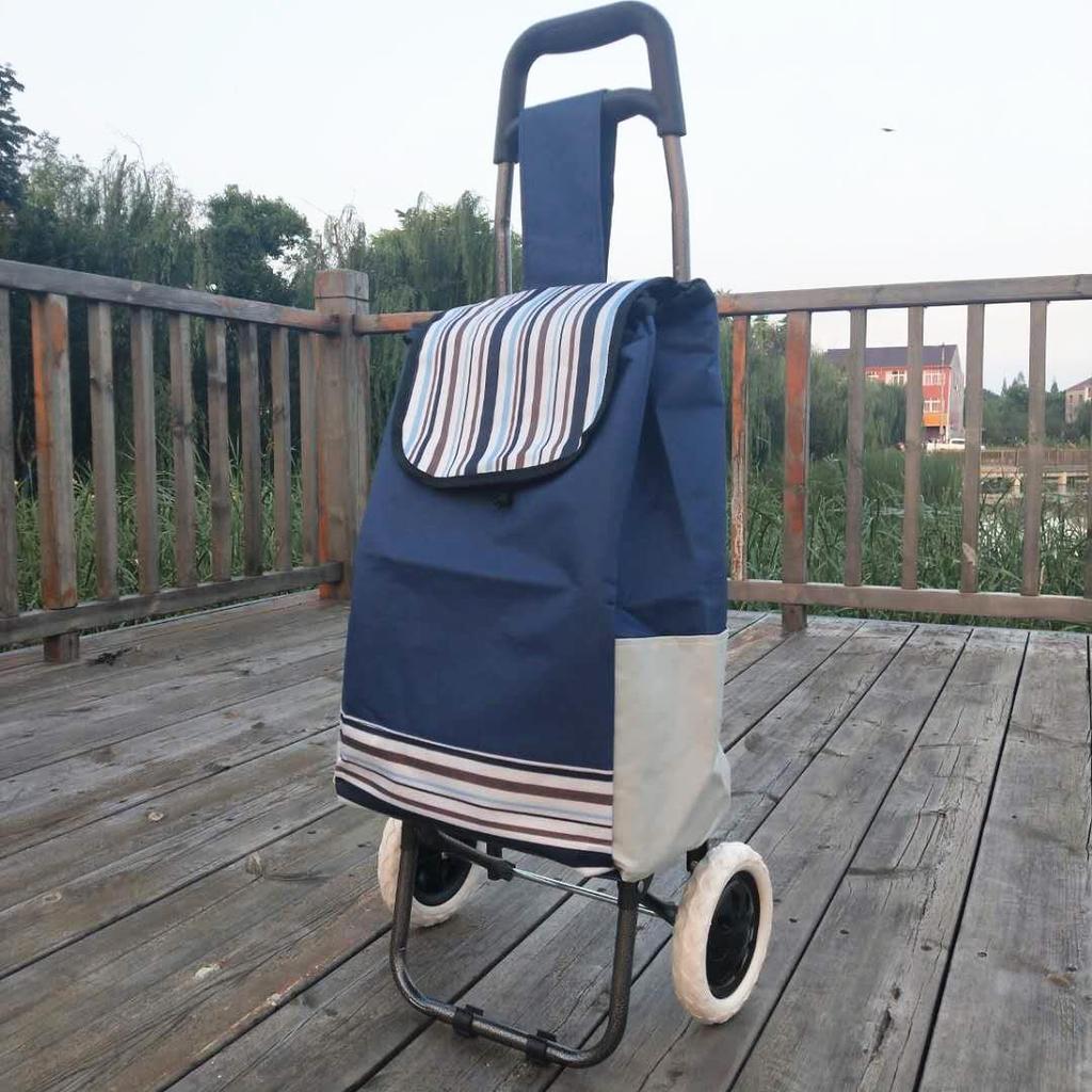 Carro Plegable Ligero para Personas Mayores - Carrito Portátil para Compras, Equipaje y Transporte