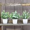 Simulated Green Plants, Frost-Hung Lavender, Potted Plants, Home Furnishing, Living Room Decoration Plastic, Small Bonsai, Eucalyptus Fake Plants