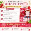 Blendy Stick Tochigi Strawberry Milk Limited Edition Coffee 7 Sticks Juice Used Souvenir Local Specialty