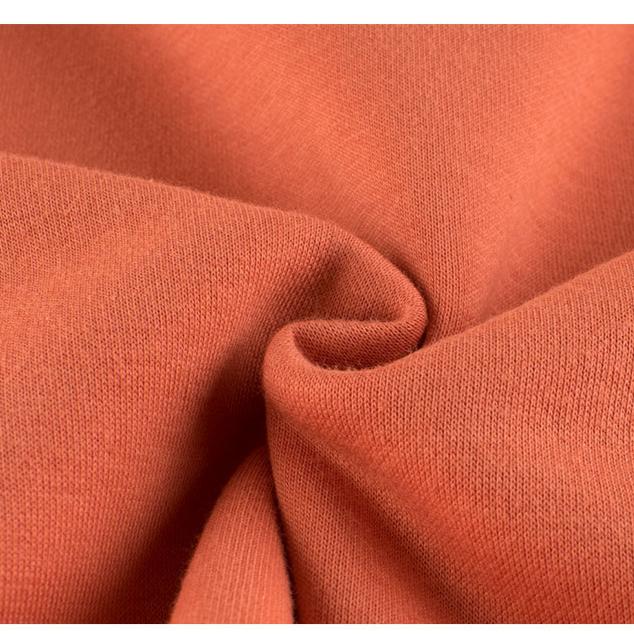 Baby and Toddler Boys' Fleece Sweatshirt Boys Cartoon Dinosaur No Cap Crew-Neck Sweatshirt Long Sleeve Pullover Shirt