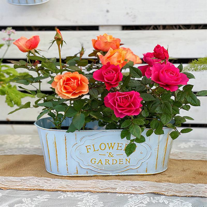 Rustic Vintage Metal Hanging Flower Pot Wall Planter With Drainage Holes & Detachable Hooks For Indoor/Outdoor Home Garden Decor