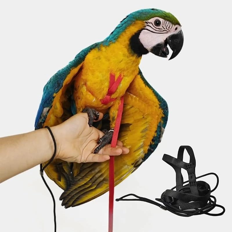 Adjustable Bird Harness with 78.7 Inch Leash, Outdoor Flying Training Rope Kit for Bird Parrots, Parrot Flying Rope Straps Outdoor Training Traction