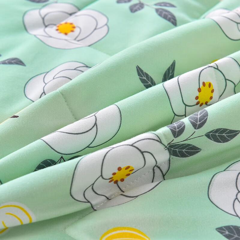 Royal Sleep Refreshing Summer Quilt