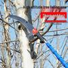 Telescopic Pole Pruner and Saw for High Branches – Tree God Tool