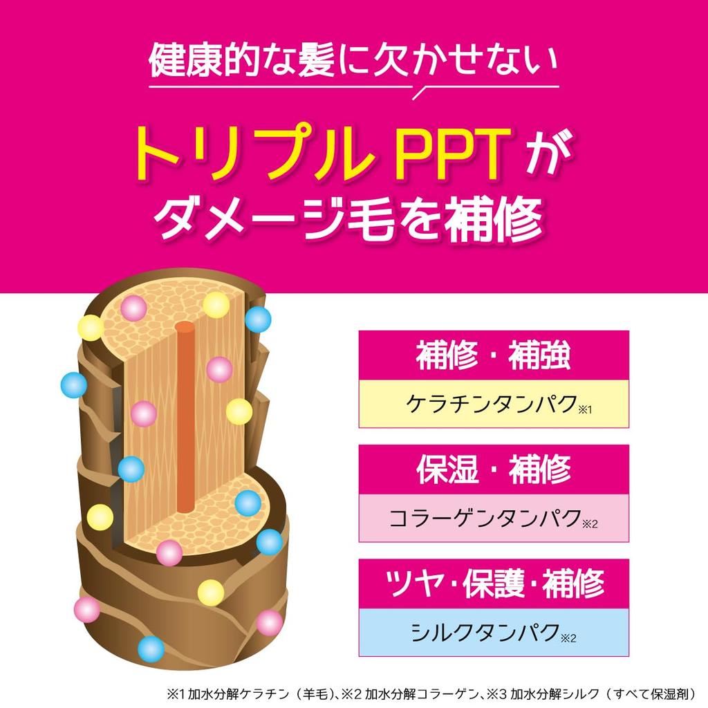 Color Shampoo Silver 500mL [Great Value] Tottimo!