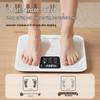 Royalstar Digital Health Scale (CN Version)