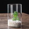 Clear Glass Flower Vase Tabletop Borosilicate Vases Floral Arrangements for Home Office Wedding Table