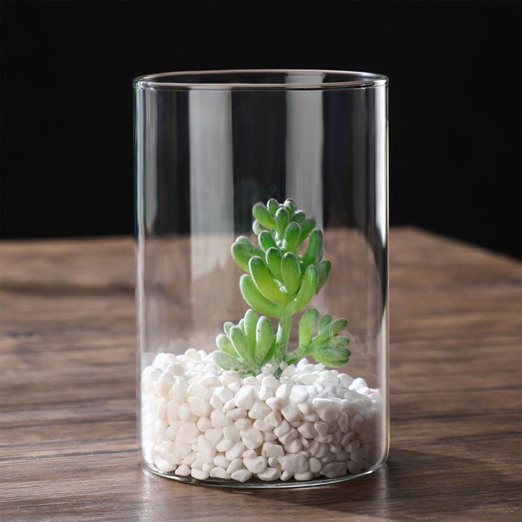 Clear Glass Flower Vase Tabletop Borosilicate Vases Floral Arrangements for Home Office Wedding Table