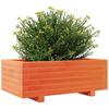 Plant Pot Wax Brown 70 X 40 X 26.5 Cm Solid Pine Wood
