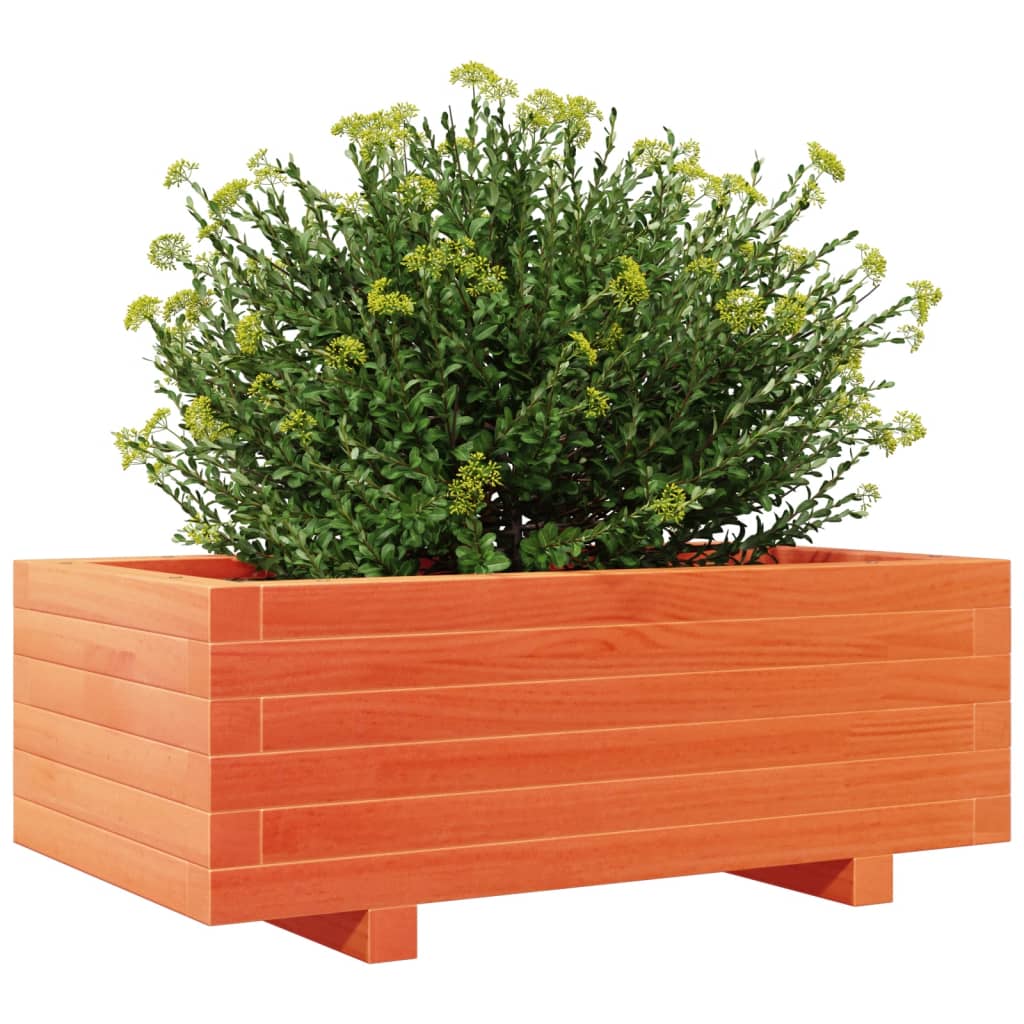Plant Pot Wax Brown 70 X 40 X 26.5 Cm Solid Pine Wood