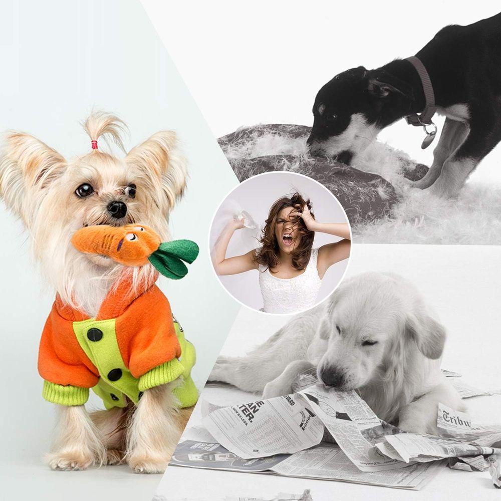 Squeaky Toys, Plush Small Dog Toys, Stuffed with Squeakers, 12 pcs Puppy Toys with Carrying Bag, Suitable for Small Medium Size