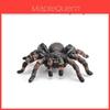 Jungle Rainforest Insect Butterfly Poison Spider Pvc Model Set With Realistic Wildlife Display For Nature Enthusiasts