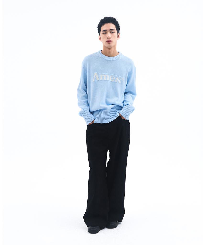 AMES-WORLDWIDE Basic Pullover Knit Light Blue