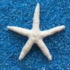 Stelle marine in resina Articoli decorativi per acquario in stile mediterraneo