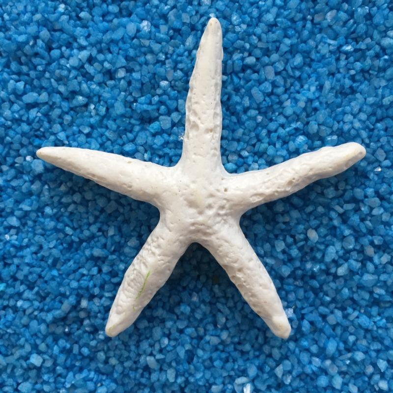 Stelle marine in resina Articoli decorativi per acquario in stile mediterraneo