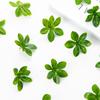 50PC Fake Plants High Quality Hanging Bell Leaf Wedding Party DIY Wreath Christmas Home Room Decoration Artificial Roses Flowers