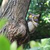 Creative Resin Owl Tree Hanging Simulated Cute Animal Ornaments Statue Personified Waterproof Tree Decorations Pendant Home