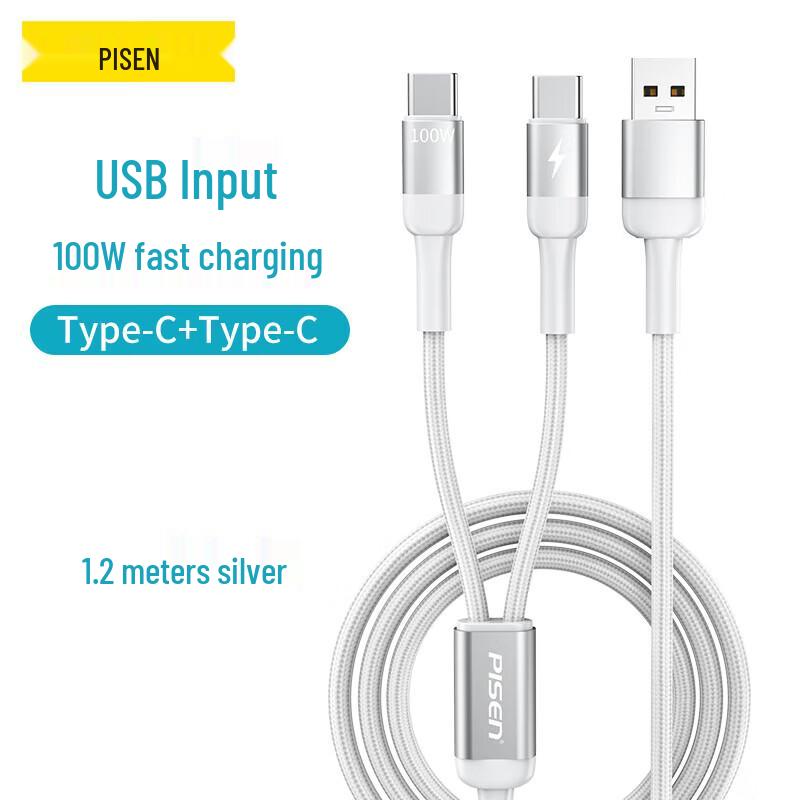 Pisen USB to Dual Type-C Fast Charging Cable 100W 1.2m