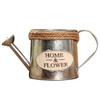 Vintage Letters Engraved Garden Bonsai Plant Flower Iron Watering Can Pot Kettle