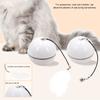 Self-Rolling Glowing Ball Toys For Cat Rechargeable Interactive Pet Toys Pets Supplies