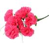 Bouquet of 9 carnations with tendrils, pink