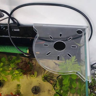 Poissons et animaux marins – Accessoires pour aquarium