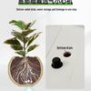 Nordic Spherical Resin Flower Pot - Versatile & Durable for Indoor/Outdoor Use, Large Diameter