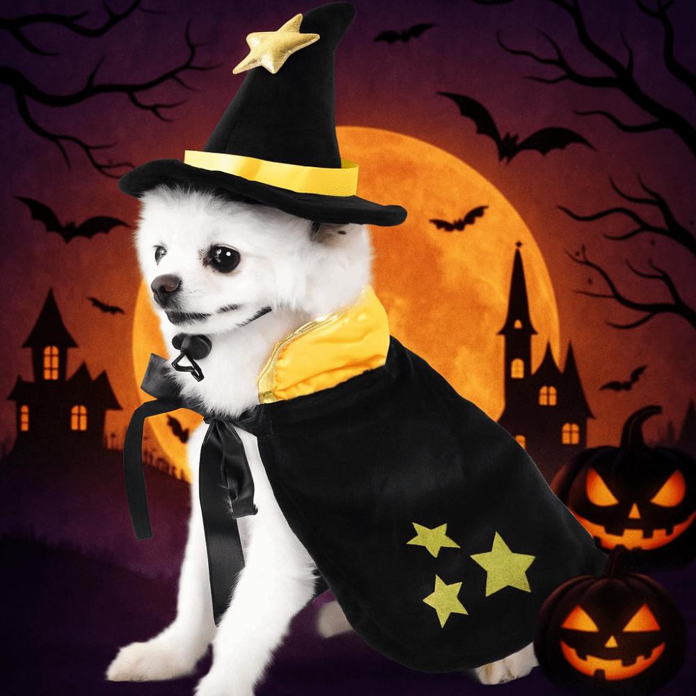 with Witch Hat Cat Cosplay Cloak Star Kitten Dress Funny Small Dog Knight Cape  Cat