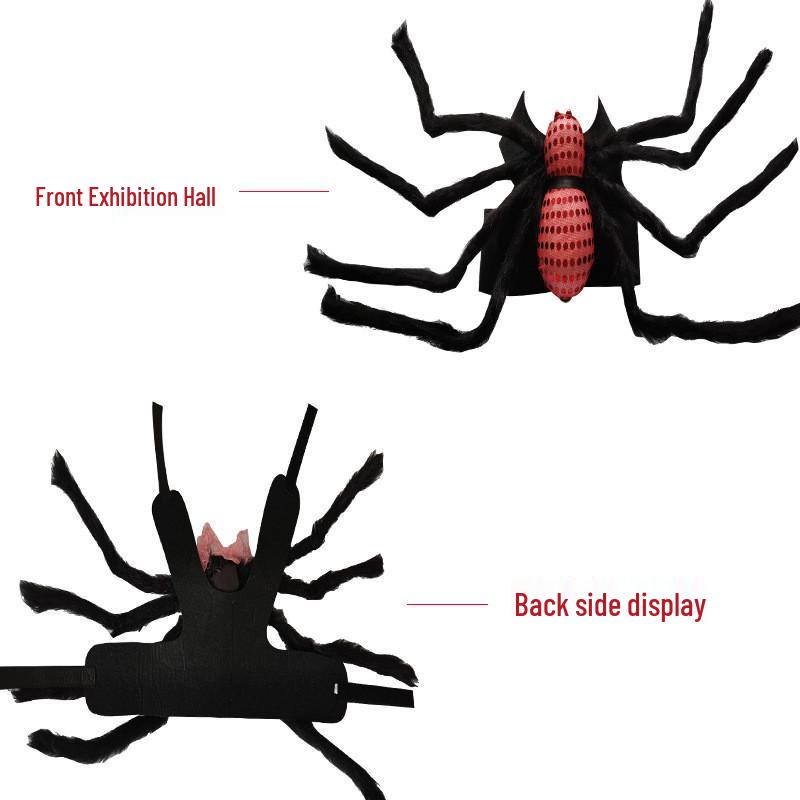 Spider and Skull Costume for Small to Medium Pets