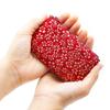 [Inden-ya] Coin Purse Compact Deer Leather Lacquer Crafts No.1002 ([13-148] Red Ground-White Lacquer Plum)