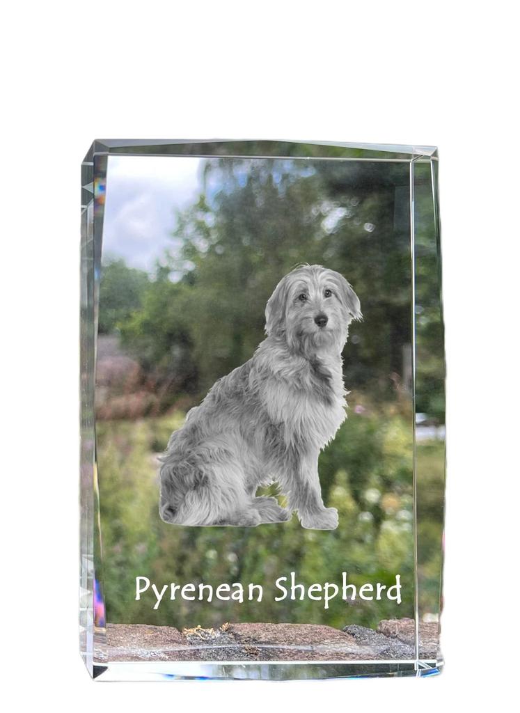 Pyrenean Sheepdog, Labri, Pyrenees Sheepdog – Crystal with a picture of a dog, photo in glass | Art-Dog