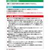 CARMATE Car Non-Slip Mat Anti-Slip Sheet S Tray Type Carbon Style DZ195