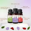 AIR ROMA Scented Diffuser Oil Pack of 6 | Lemongrass, Lavender, Eucalyptus, Orange, Rose and Teatree | Natural and Undiluted Aroma Diffuser Oil (