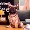 Shiba Inu Bulldog Dog Stuffed Pillow Labrador Corgi Dog Cushion Creative Dog Plush Toys  Kids Toy