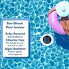 Solar Pool Ionisator Kupfer Silber Ionen Schwimmbadreiniger Sicherheitswasserreiniger