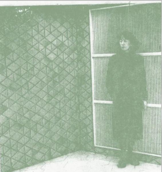 

LP Record PHEW - Vertical Jamming (Clear Vinly) DISC75CLEAR Disciples 2022 Europe Dance & Electronica