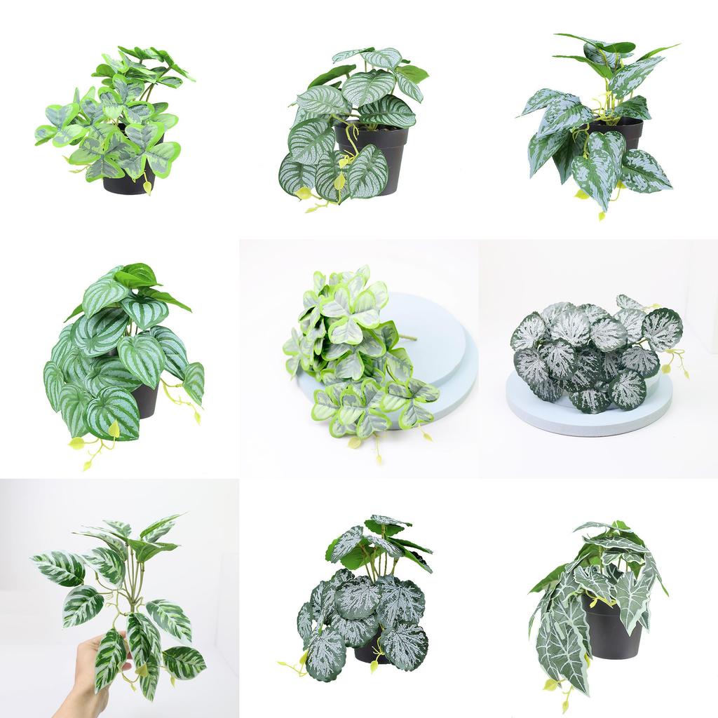 Sztuczna roślina wisząca Goeppertia Makoyana o miękkiej gumowej fakturze do domowego projektu zielonej ściany