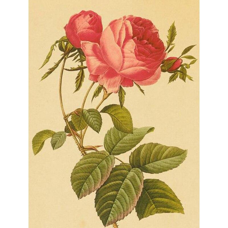 

Новый 5D DIY алмазная живопись образец цветок Алмазная вышивка крестиком полная круглая дрель домашний декор ручной художественный подарок Full Round 15x20CM