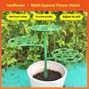 Adjustable Garden Flower Stake Climbing Grafting Rack with Stabilizing Stakes for Plant Support