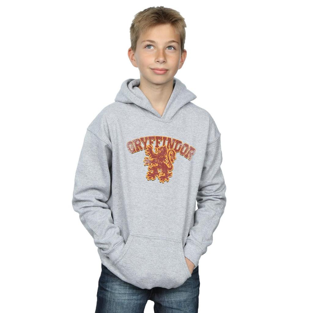 Harry Potter Boys Gryffindor Sport Emblem Hoodie