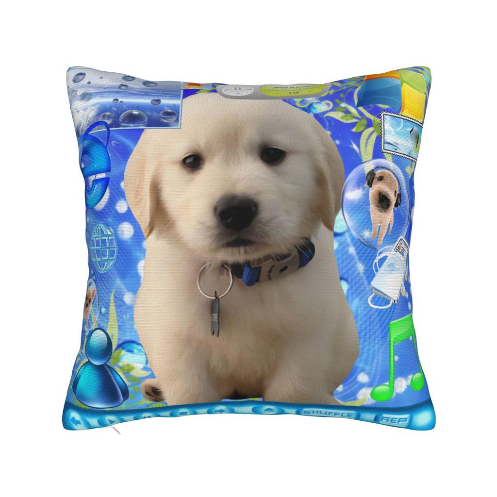 Frutiger Aero Art Pillow Case Print Pillow Cover For Sofa Home Decoration Novelty Pillowcases