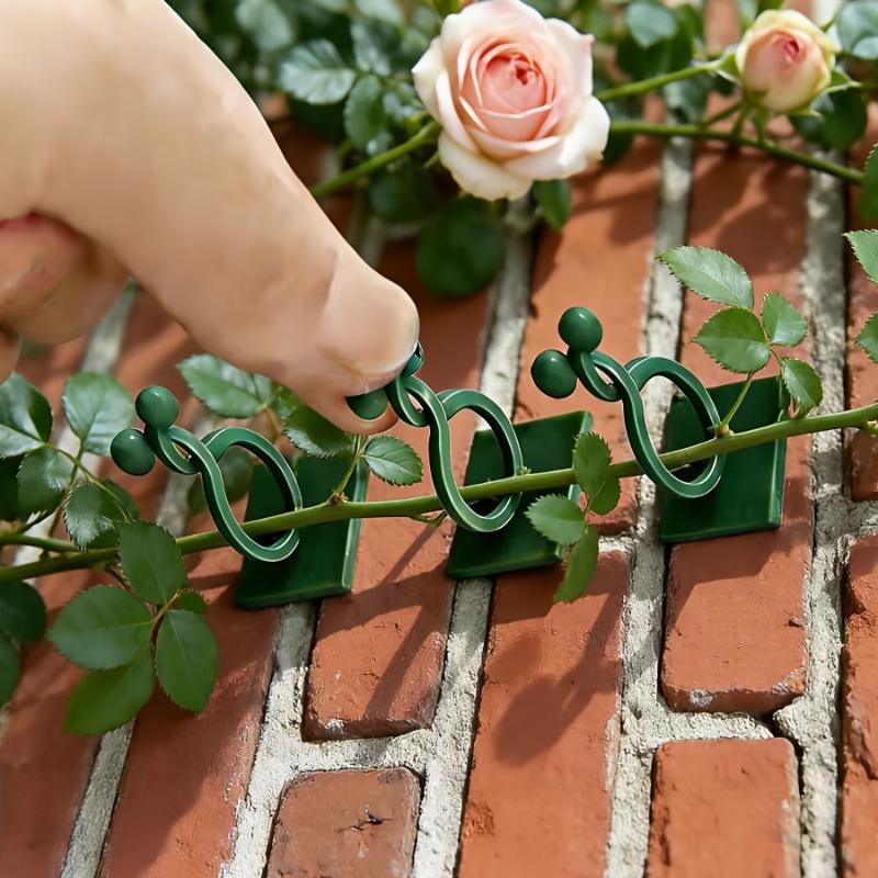40pcs Self-Adhesive Plant Climbing Wall Hooks Wall-Climbing Tool Fixing Vine Clips Vine Support Brackets Gardening Accessories