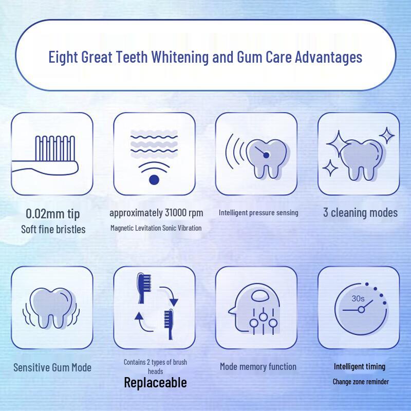 Panasonic EW-DC12 Sonic Electric Toothbrush