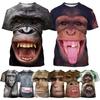 Rolig Orangutang Apa T-shirt 3D-tryck Rolig Hip-hop T-shirt Sommar NY Djurpersonlighet Hip-hop Unisex Toppar T-shirts